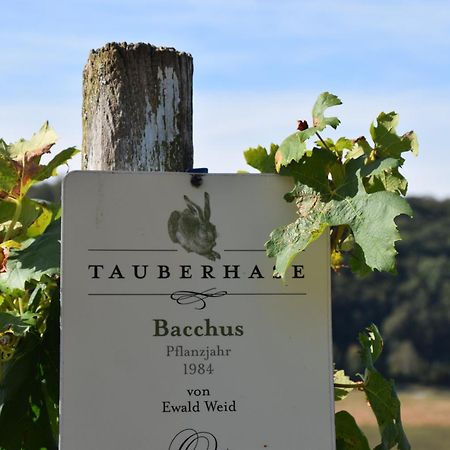Ferienwohnung Tauberzell 阿德尔斯霍芬 外观 照片